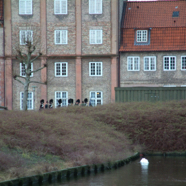 Copenhagen2005 161.jpg