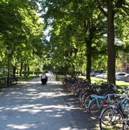 Malmo-2011-177.jpg