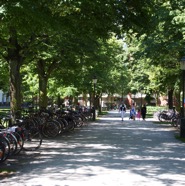 Malmo-2011-178.jpg