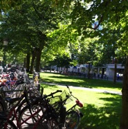 Malmo-2011-179.jpg